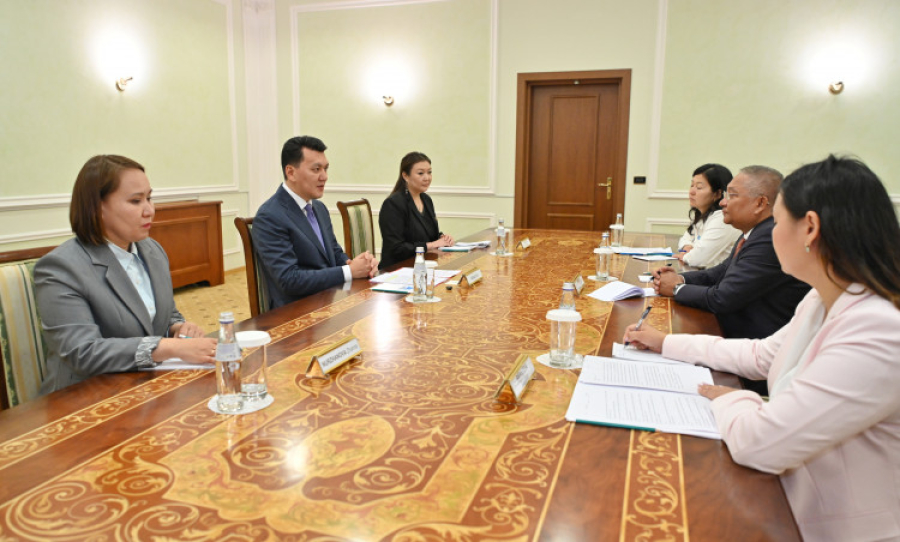 Госсоветник встретился с представителем ЮНИСЕФ в Казахстане