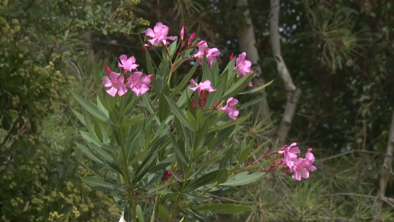 Еліміздің басым бөлігінде ауа райы құбылмалы болады