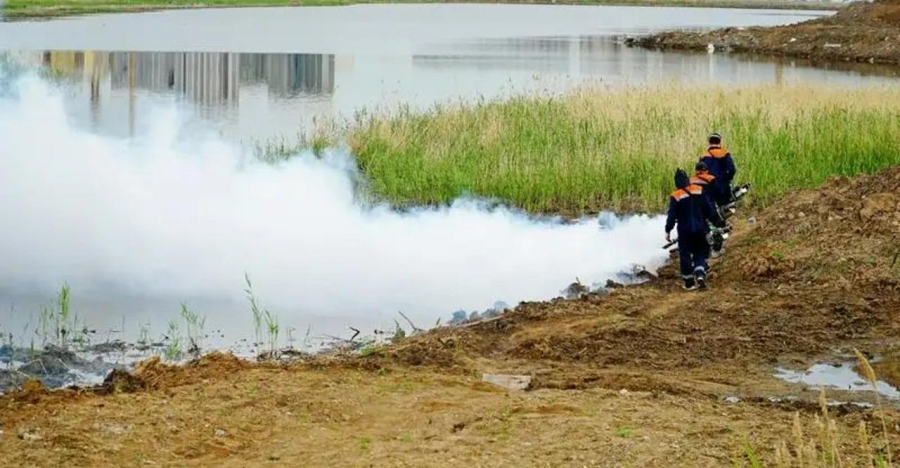 Астанада масаларға қарсы ауқымды дезинсекциялық жұмыстар жүргізіліп жатыр