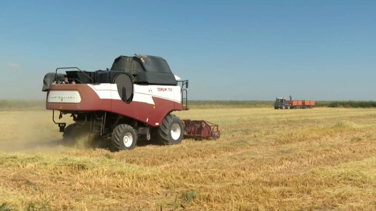 Более 1000 нарушений выявлено при использовании земель