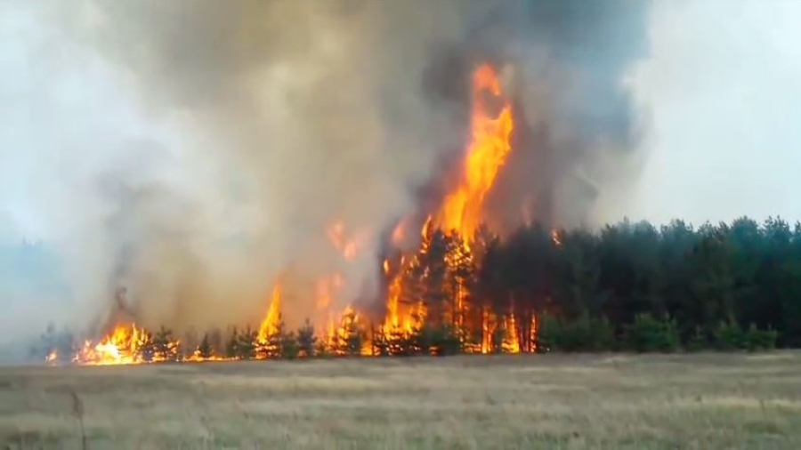 Камыш и сухая трава горят на труднодоступной местности в ВКО
