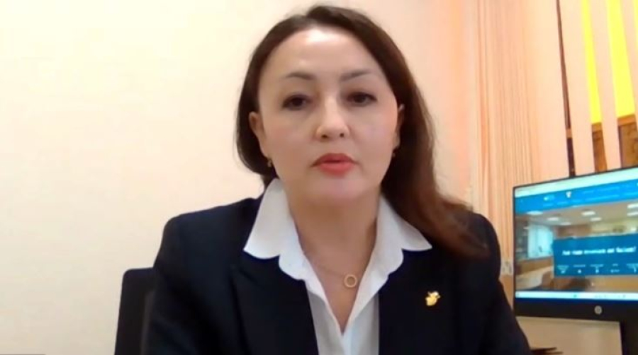 Эксперт назвала ключевые направления сотрудничества РК и ДРК