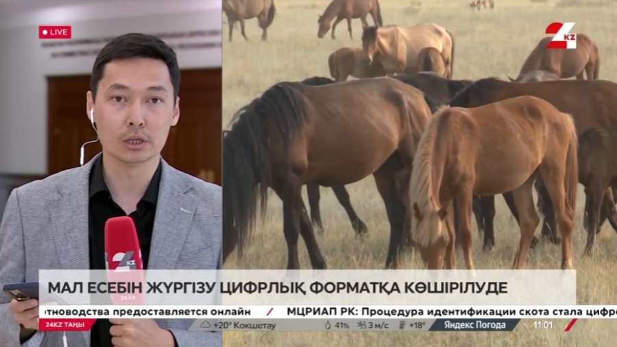 Мал есебін жүргізу цифрлы форматқа көшіріліп жатыр