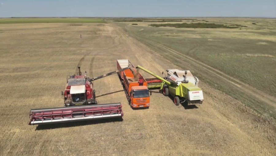 Қазақстан ұны Нью-Йоркке жеткізілді