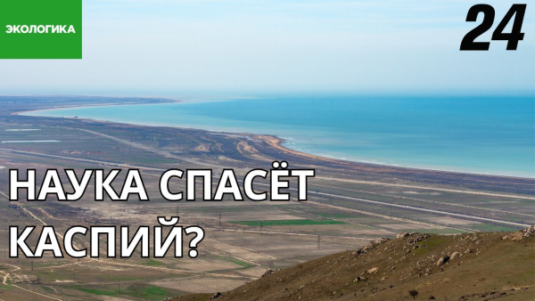 НИИ для Каспийского моря. Какие проблемы буду изучать отечественные эксперты