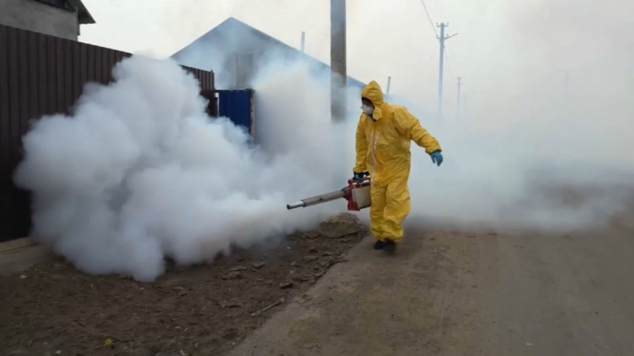 Атырау облысында кеміргіштермен күрес жалғасып жатыр