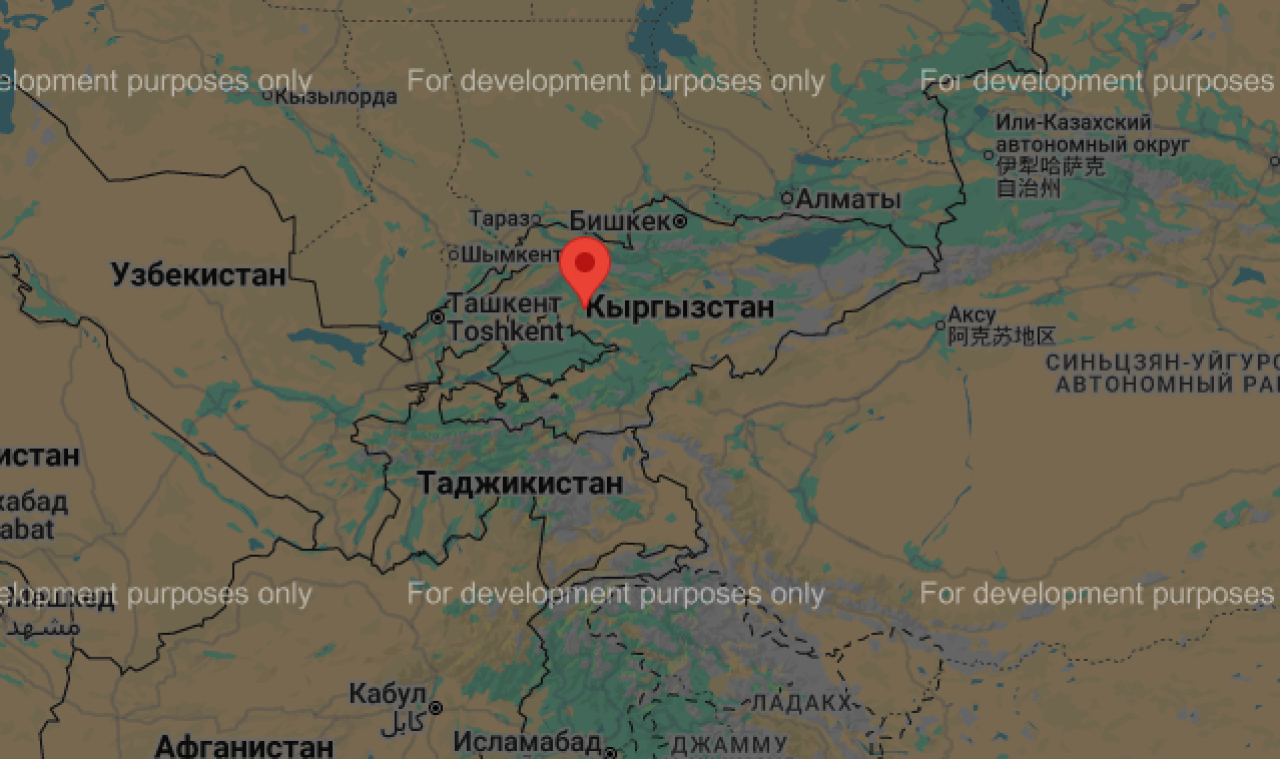 Землетрясение магнитудой 4,6 произошло на территории Кыргызстана