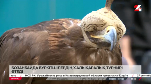 Бүркітшілердің халықаралық турниріне дайындық қалай? Серікбек Күнтуғанұлы