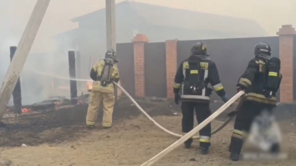 Ресейдің бірнеше аймағында орман өртеніп жатыр