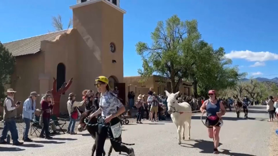 АҚШ-та есектермен бірге жүгіру жарысы өтті