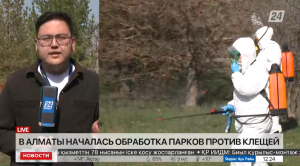 Обработка парков против клещей началась в Алматы