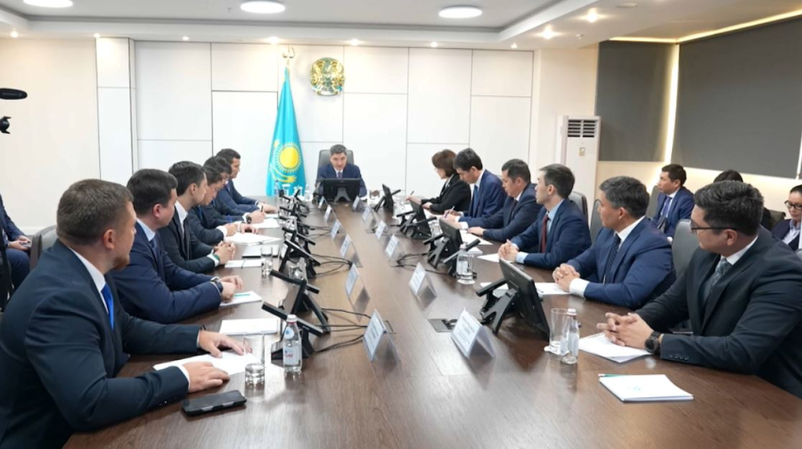 Елде 21 мың медицина ұйымы цифрландырылды