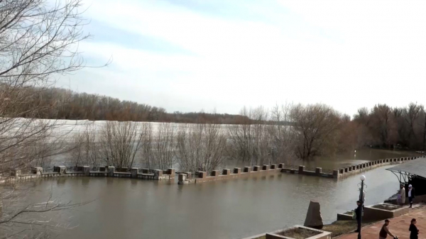 Жайық суы қауіпті деңгейге жақындады