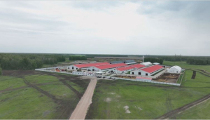 Маслоэкстракционный завод планируют построить в СКО