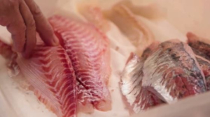 Китай ввёл запрет на японские морепродукты