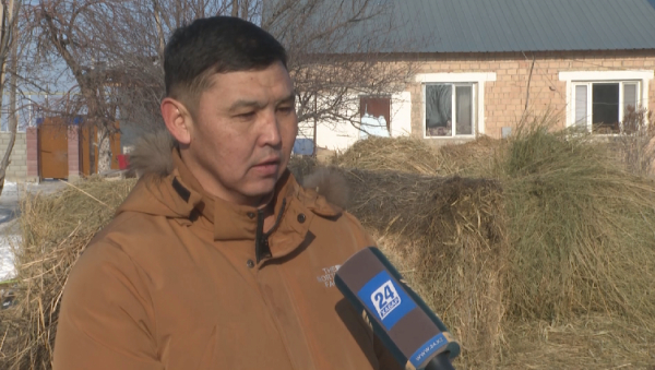 Переехал в село и занялся животноводством: история юриста из Алматинской области