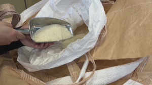 Низкоуглеродный пластик создают из риса в Японии