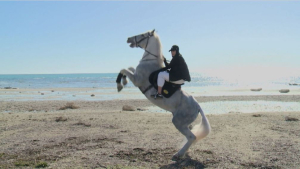 Казахстанка разводит уникальные породы лошадей в Мангистауской области