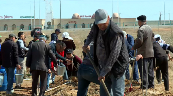 Қызылордалықтар «Киелі мекен» апталығына белсенді қатысты