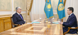 Президент принял председателя Высшей аудиторской палаты Алихана Смаилова