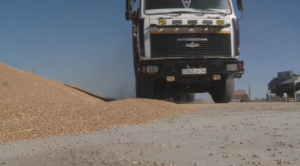 Российское зерно незаконно экспортировали через Казахстан