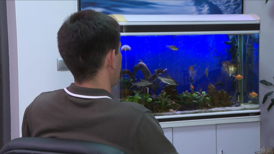 Құмар ойын құрдымға кетіреді