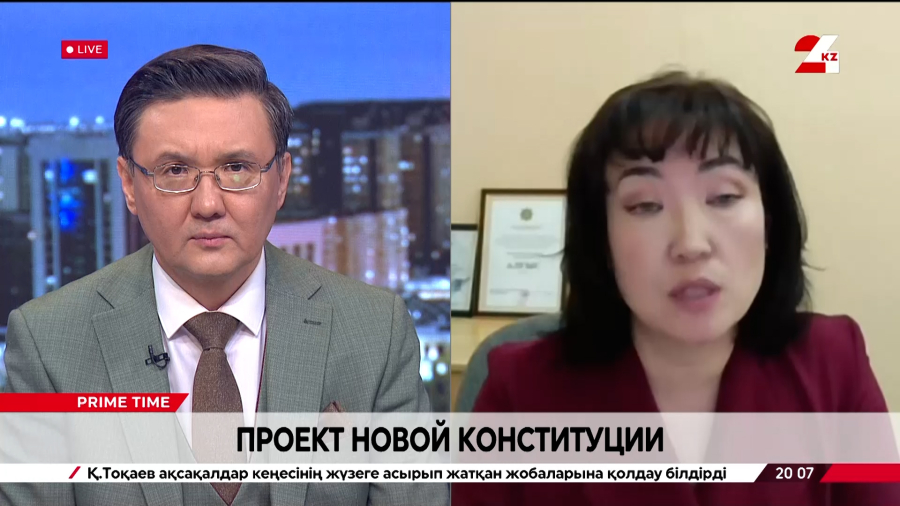 Проект новой Конституции. Эльмира Саитова