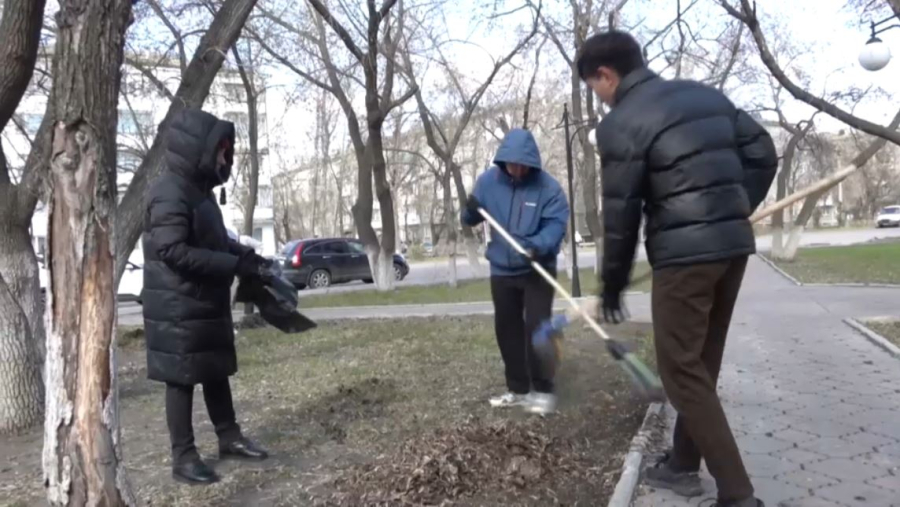 TazaQazBot телеграм арнасына 16 мың өтінім түсті