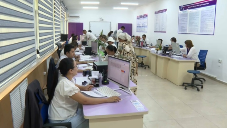 285 дополнительных грантов выделил акимат Шымкента