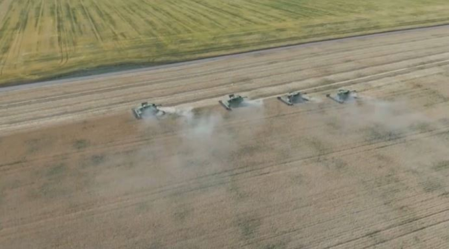 Казахстан бьет рекорды по урожаю бобовых, масличных и хлопчатника