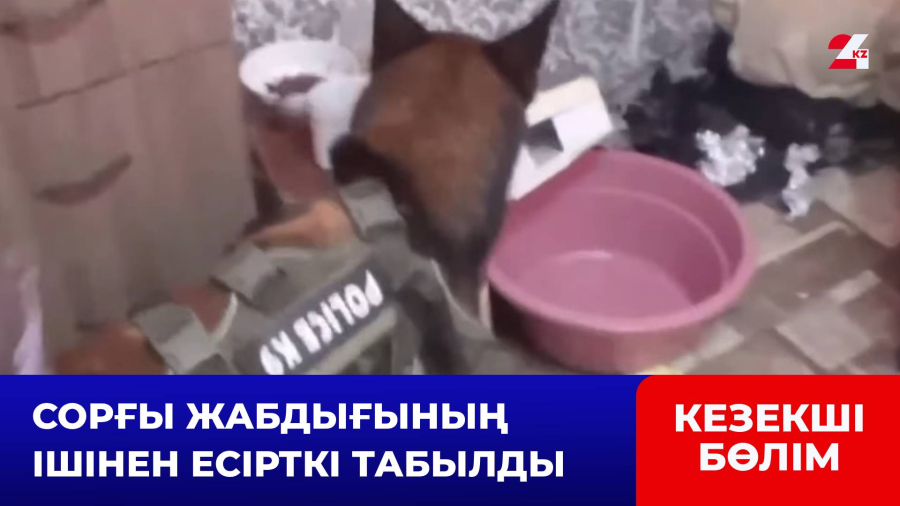 Шымкентте есірткінің ірі партиясы тәркіленді