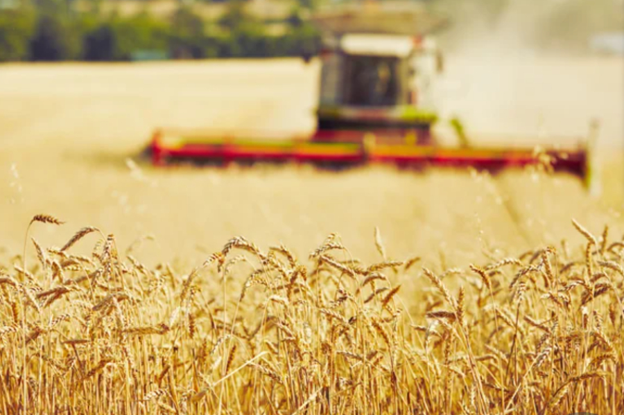 Прием заявок по программе «Кең дала 2» начнется с 1 октября