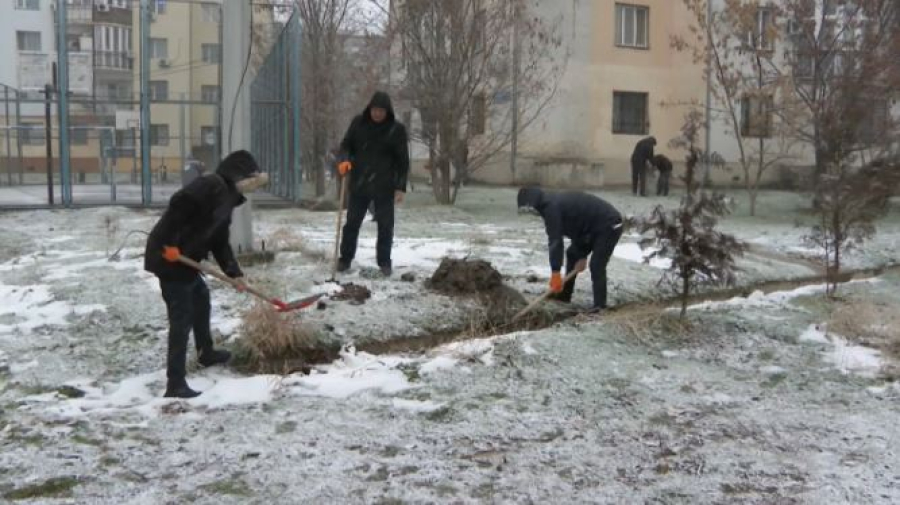 Экоакция «Таза бейсенбі» прошла в Шымкенте