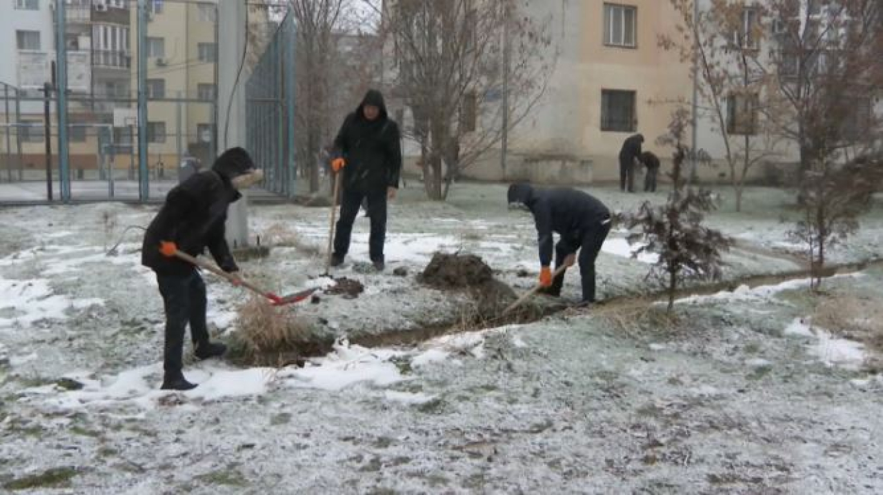 Экоакция «Таза бейсенбі» прошла в Шымкенте