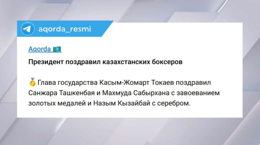 Президент поздравил казахстанских боксеров