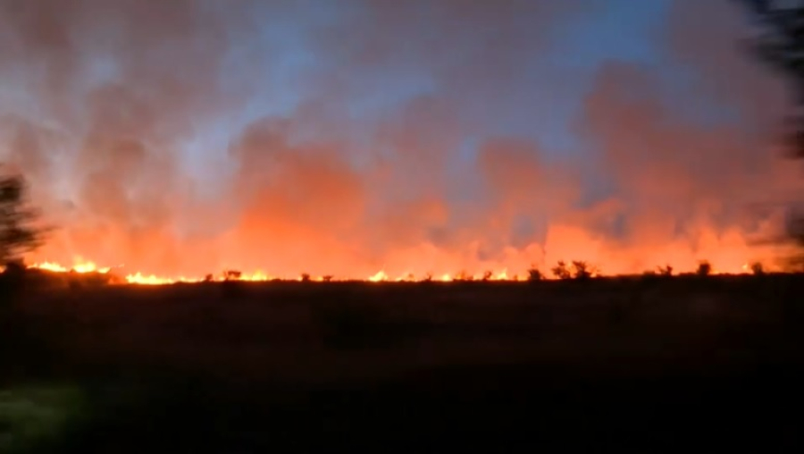 240 лесных пожаров бушуют в Болгарии