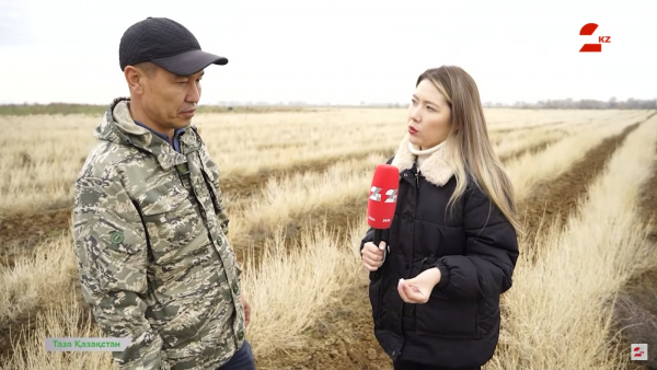 Возрождение саксаула – оживление экосистемы казахстанских пустынь