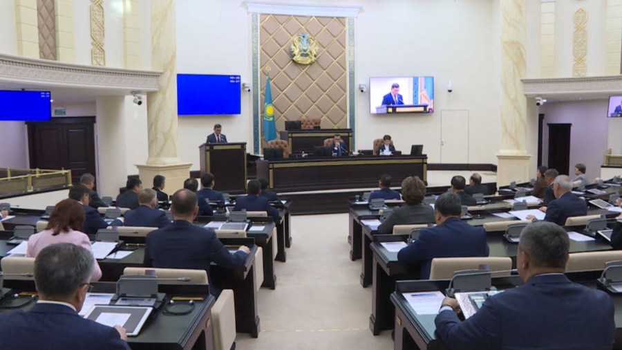 Сенат ратифицировал поправки о декларировании интернет-покупок