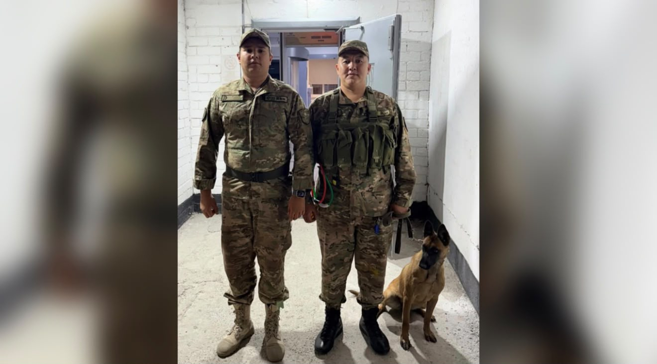 Ұландықтар қызметтік иттің көмегімен колонияға өткізілмек болған есірткіні анықтады
