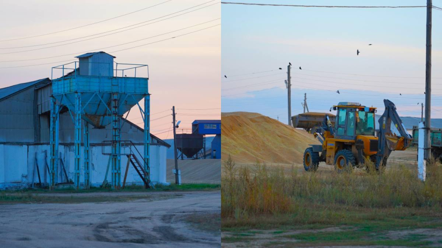 Крупную кражу пшеницы предотвратили в Костанайской области