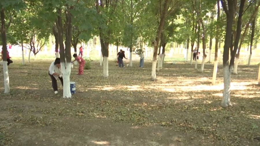 «Таза Қазақстан» акциясы аясында 10 ауылдық округте сенбілік өтті