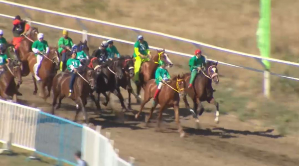 Как развивается спортивное коневодство в Казахстане