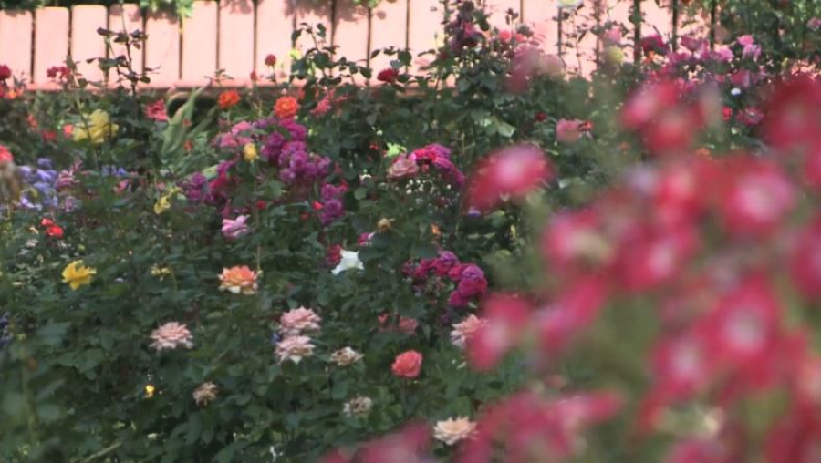 На улицах Усть-Каменогорска усилили контроль за чистотой