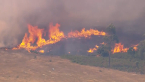Две тысячи жителей эвакуированы из-за лесного пожара в Австралии
