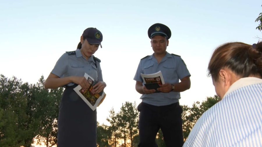 Полицейские в Астане выявляют нарушителей благоустройства