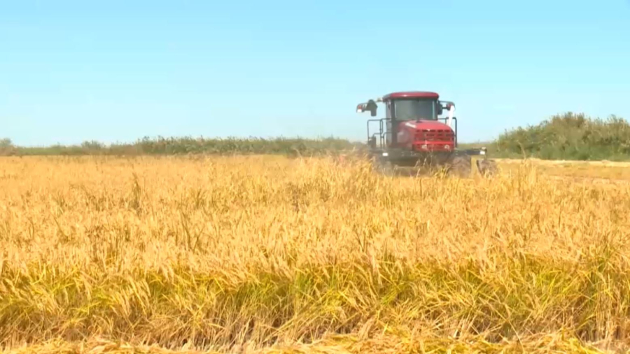 130 региональных брендов появилось в Казахстане