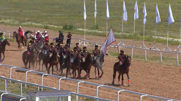 Спорттық бағыттағы жылқылардың қазақы тұқымы көбейтіледі