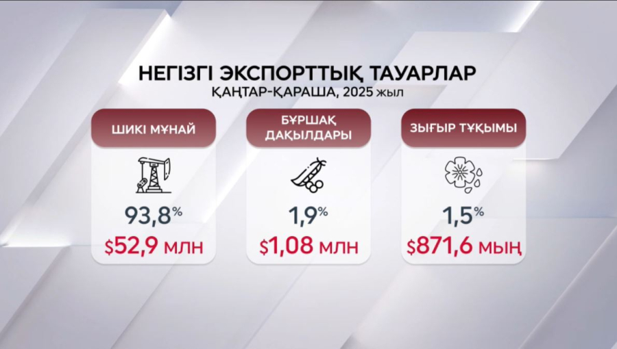 2025 жылы Пәкістан елімізден 53 млн долларға мұнай сатып алды