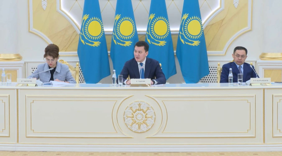 Мемлекеттік кеңесші ішкі саясат мәселелері жөнінде кезекті республикалық кеңес өткізді