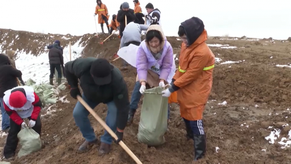 День единства: заслуги волонтёрских движений отмечают в Казахстане